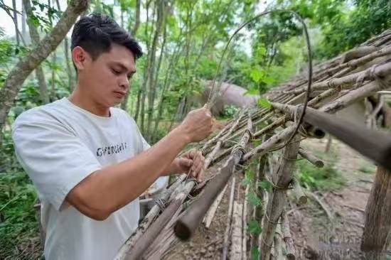 配资靠谱股票配资门户 海南热带雨林里 有一群黎族船型屋守护者
