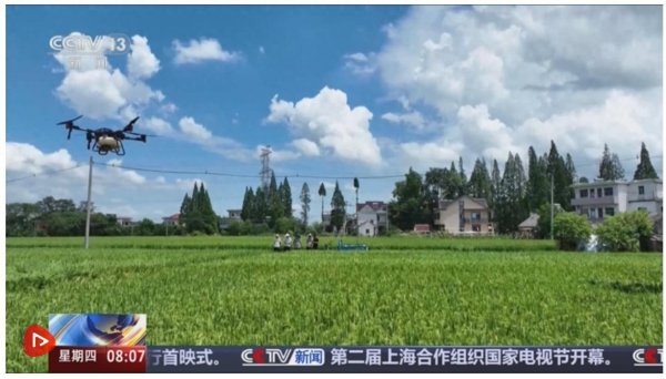 专业股票配资网 智“绘”田管图 科技为全力保障秋粮作物生长装上“数字大脑”